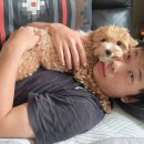 정비사의 집 이미지