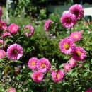 조항경로당 이미지