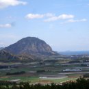 단산농원 이미지