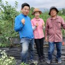 김성환 농장 이미지