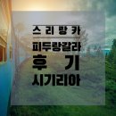 소울모노폴