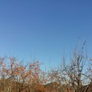 감불농장 이미지