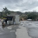 청수파크 | [국내/제주] 제주 환상숲 곶자왈 내돈내산 해설 투어 후기