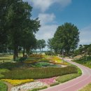 보강천4 이미지