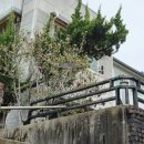 만촌네거리서측