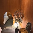 투스노스 이미지