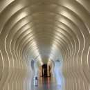 CU대성로드점 | 부산 힐튼 아난티 코브 l 오션 스위트 객실 후기 (힐튼 다이아등급 혜택,룸컨디션,어메니티,룸서비스 등)