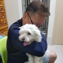 산본중앙동물병원 이미지