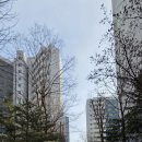 노원-상계-2080 이미지