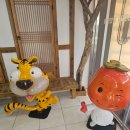 상주 곶감 직판장 : 상주 특산품 기념품 가격 / 곶감 약과 & 고구마 치즈 말이 & 곶감 막걸리 후기