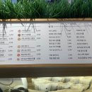 바르다김선생(정자점) 이미지