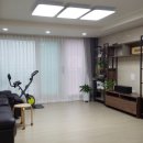 써니지니 이미지