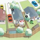 Pacific BUBBLES 이미지