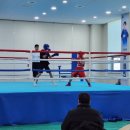 SBoxingGYM 네이버블로그