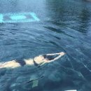 미니멀 샐러드 이미지