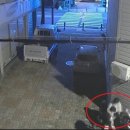남성오토바이쎈타