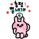 카페 와이