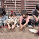 꽃바위유치원 이미지