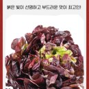 소래종묘 이미지