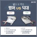 거제 다대횟집 | 아는어부 5월 꾸러미 소개: 참병어・백조기・생멸치・고등어・키조개