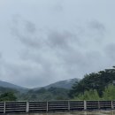 광천-비상-3 이미지