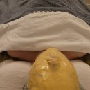 포레스트케어 | 피부 컨디션이 달라졌던 하루, 강남피부샵 서초 더포레스트 에센셜 케어 후기
