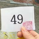 AVC 동물메디컬센터 | 2025년 계양구 광견병 예방접종 지원 사업