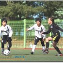 고양백석초등학교 이미지