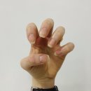 손톱시장