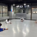 용인대 한국 유도관 이미지