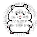 고요 에스테틱