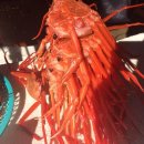 갈릴리 대게수산 이미지