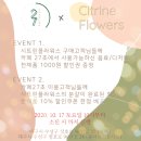 시트린플라워스 이미지