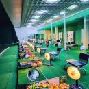 뉴비치골프연습장 이미지