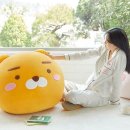 집순이
