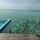 맥시멈요가 | 최종선택 : 쿠다 빌링길리) / 리조트 선정 기준, 리조트 추천 및 5박 견적공유, 신혼여행박람회 방문후기