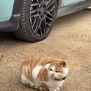 둔둔농장 이미지