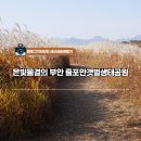 줄포만갯벌생태공원 무장애나눔길 티스토리