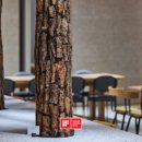 솔이비인후과의원 이미지