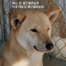 초희 이미지