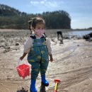 송림캠핑장 이미지