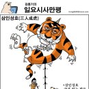 크로스체크 이미지