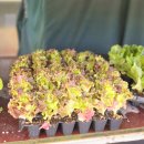 장기농약사 이미지