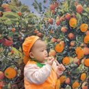 윤재농장 이미지