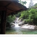신도천 이미지