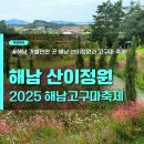 산이정원 | 전남 해남 가볼만한 곳 산이정원 해남 고구마축제 2025 후기