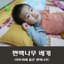 몸에좋은것들 이미지