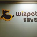 해밀동물병원 티스토리