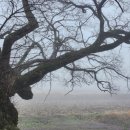 등계경로당 이미지