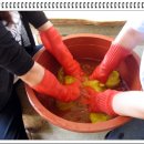 푸른솔염색 이미지